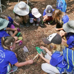 Acorn Adventurers Summer Camp, observing an insect
