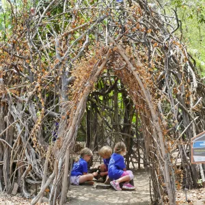 Acorn Adventurers Summer Campers at the Woodrat House Casita