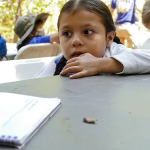 Acorn Adventurers Summer Campers