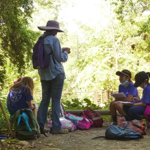 Plantastic Problem Solvers Summer Camp, biomimicry journaling activity