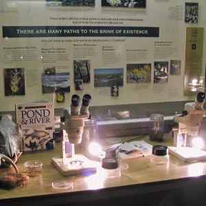 Great Garden Nature Night, Lab in Information Kiosk