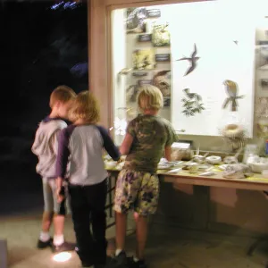 Great Garden Nature Night, lab in Information Kiosk