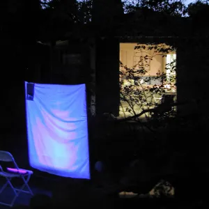 Great Garden Nature Night