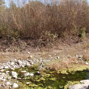Lake Casitas boat tour