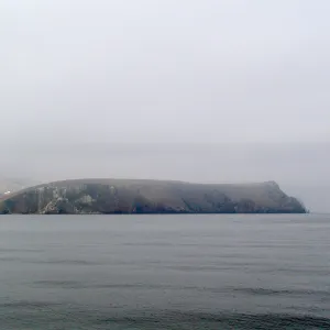 Santa Barbara Island trip 