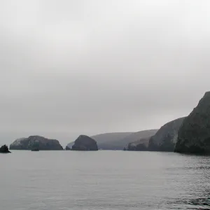 Santa Barbara Island trip 