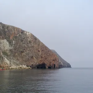 Santa Barbara Island trip 