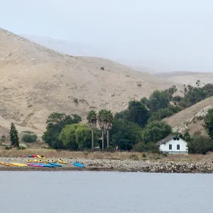 Santa Barbara Island trip 
