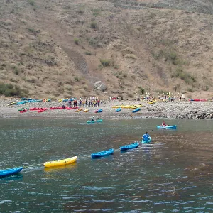 Santa Barbara Island trip, Kayak line