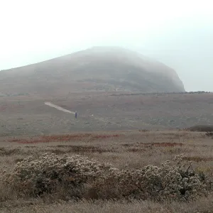 Santa Barbara Island trip, Signal Peak