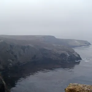 Santa Barbara Island trip, Foggy coastline