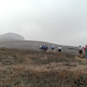 Santa Barbara Island trip, trail to Signal Peak