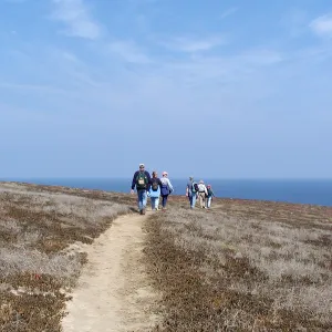 Santa Barbara Island Trip