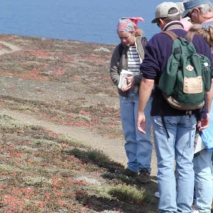 Santa Barbara Island Trip