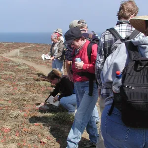 Santa Barbara Island Trip