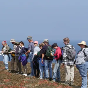 Santa Barbara Island Trip
