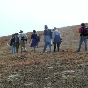 Santa Barbara Island Trip