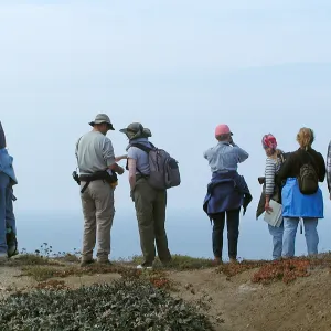 Santa Barbara Island Trip