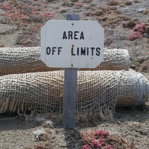 Santa Barbara Island Trip