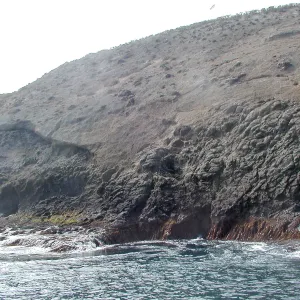 Santa Barbara Island Trip, Landing Cove