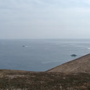 Santa Barbara Island Trip