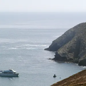 Santa Barbara Island Trip, SB Is & Boat