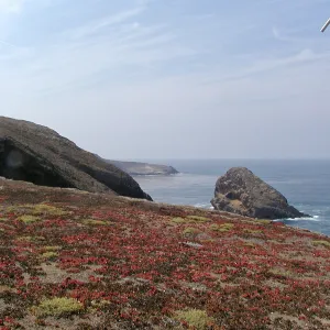 Santa Barbara Island Trip, Shag Rock