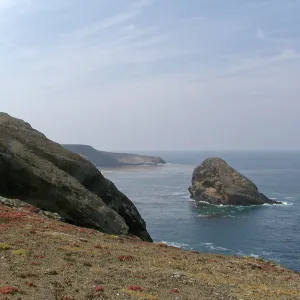 Santa Barbara Island Trip, Shag Rock