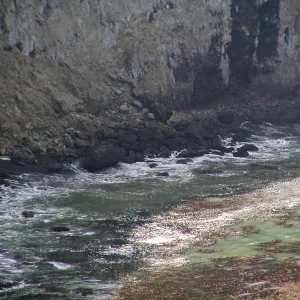 Santa Barbara Island Trip