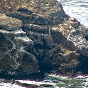 Santa Barbara Island Trip