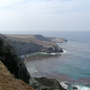 Santa Barbara Island Trip