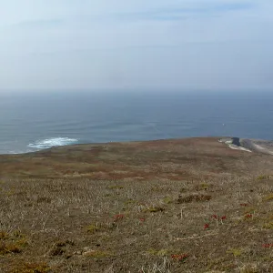 Santa Barbara Island Trip