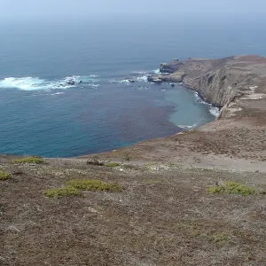 Santa Barbara Island Trip
