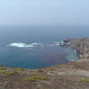 Santa Barbara Island Trip