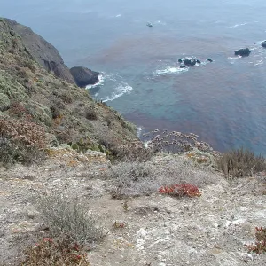 Santa Barbara Island Trip, south end of island