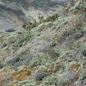 Santa Barbara Island Trip
