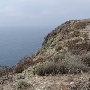 Santa Barbara Island Trip