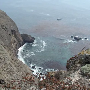 Santa Barbara Island Trip, south end steep view