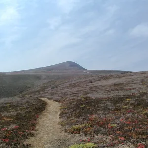 Santa Barbara Island Trip, Signal Peak
