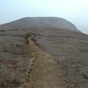 Santa Barbara Island Trip, Signal Peak