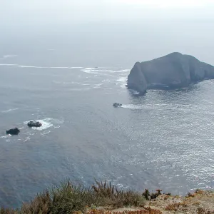 Santa Barbara Island Trip, Sutil Island