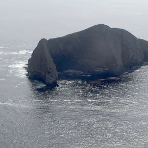 Santa Barbara Island Trip, Sutil Island