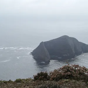 Santa Barbara Island Trip, Sutil Island
