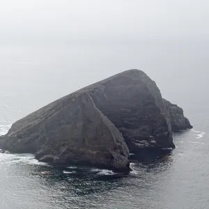 Santa Barbara Island Trip, Sutil Island