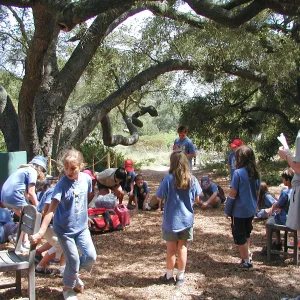Summer Camp 2003