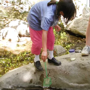 Summer Camp 2003, looking for creatures in Mission Creek