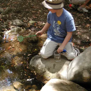 Summer Camp 2003, looking for creatures in Mission Creek