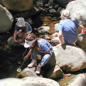 Summer Camp 2003, looking for creatures in Mission Creek