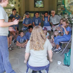 Summer Camp 2003, amphibian demonstration