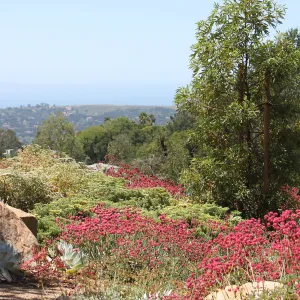 Island View Garden